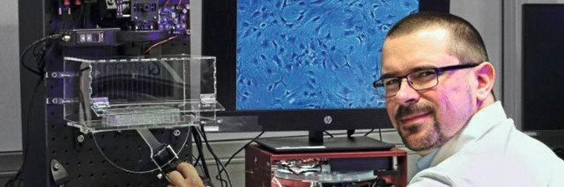 Weißlichtlaser-Quelle: Der Wissenschaftler Dr. Tobias Baselt kann mit der neuen Lichtquelle Zellveränderungen in Echtzeit erfassen oder die Lichtquelle beschleunigt die Qualitätskontrolle in der Halbleiterindustrie.