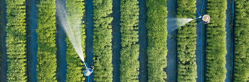 Die Daten der ConstellR-Messungen sollen die Wassernutzung in der Landwirtschaft optimieren und somit zum Erhalt der Nahrungssicherheit beitragen