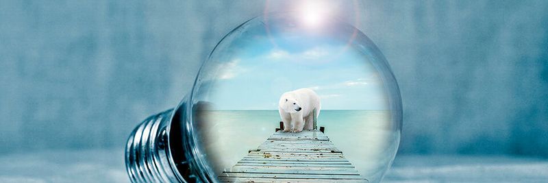 IBM will Fachwissen und Technologie mit dem Ziel zusammenbringen, die Lebensbedingungen der von Umweltbedrohungen am stärksten betroffenen Bevölkerungsgruppen zu verbessern.