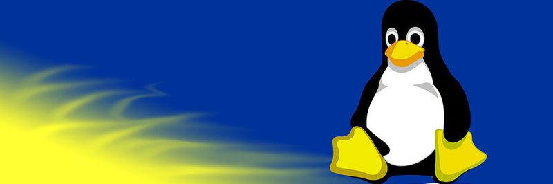 Mit diesen Linux-Kommandos kann das Maskottchen Tux ganz entspannt neue Fans gewinnen.