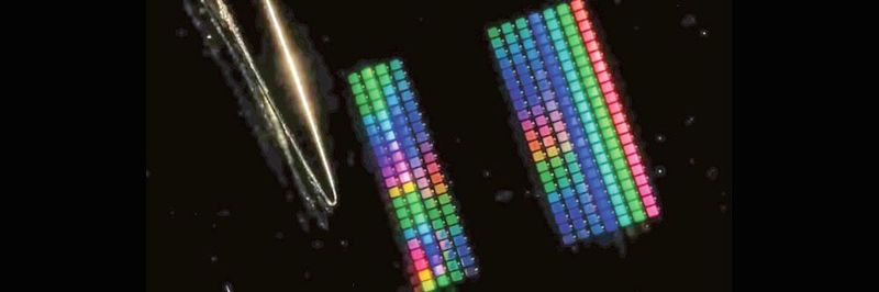 Mit dem neuen Prinzip lassen sich alle Farben erzeugen. Ein einzelnes Pixel misst hier 120 x 120 Mikrometer.