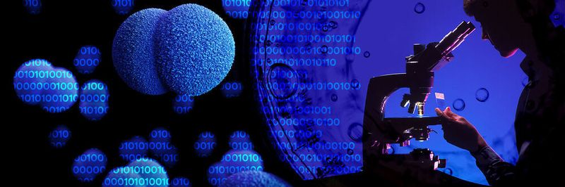 Avanga will die Softwareentwicklung für den gesamten pharmazeutischen Lebenszyklus von der Komponentenforschung über das Studienmanagement bis zum Arzneimittelvertrieb weiter voran bringen