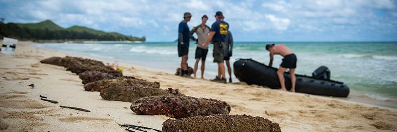 Blindgänger (Unexploded Ordnance - UXO), die vor Lanikai Beach, Hawaii, geborgen wurden. UXOs können explosives Material oder gefährliche Chemikalien enthalten und sind daher noch immer extrem gefährlich.