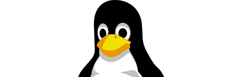 Wer Daten auf Linux-Servern sichern will, hat mehrere Möglichkeiten. Wir zeigen einige der wichtigsten.