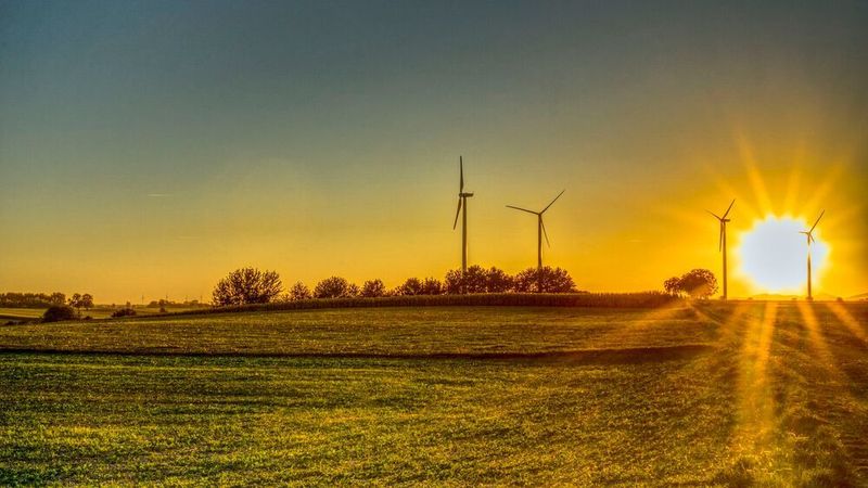 Die Internetznutzung steigt weltweit und damit auch der CO2-Ausstoß. Der Ausbau von Glasfaser könnte die Nutzung nachhaltiger machen.