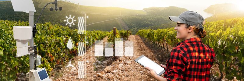 KI könnte in der Landwirtschaft dabei unterstützen, nachhaltiger zu arbeiten.
