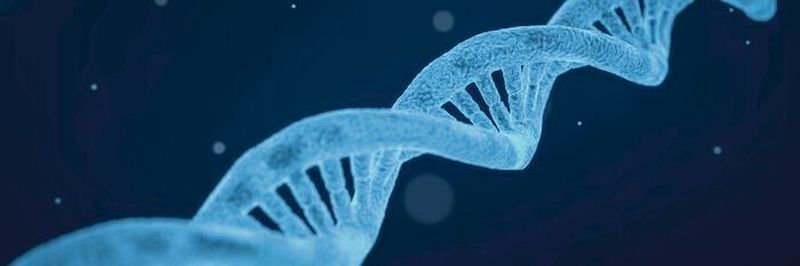 A new DNA test has been shown to identify a range of hard-to-diagnose neurological and neuromuscular genetic diseases.