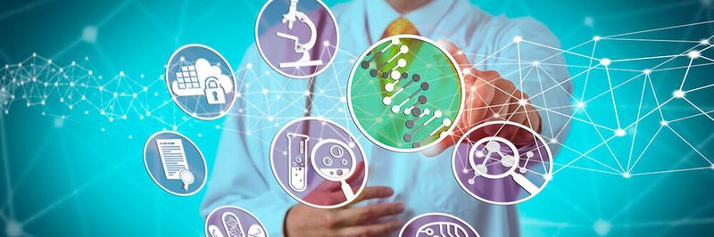Im Juni 2022 steht der Life Science Nord GmbH ein Wechsel an ihrer Spitze bevor