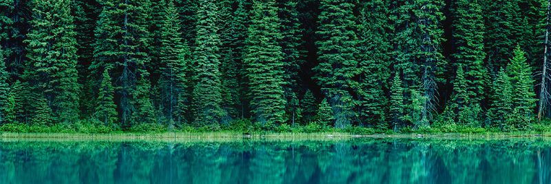 Insgesamt bekommt das Service-Angebot „HPE Greenlake“ 50 Dienstleistungen hinzu.