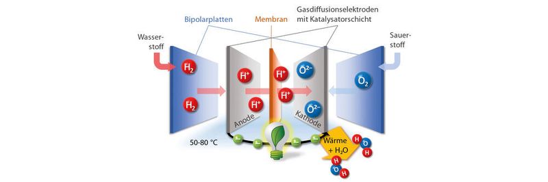 So ist eine Brennstoffzelle aufgebaut: Über die beiden Bipolarplatten werden Wasserstoff und Sauerstoff eingeleitet, in der Membran-Elektrodeneinheit reagieren die beiden Gase miteinander zu Wasser. Bei dieser chemischen Reaktion wird Energie in Form von elektrischem Strom und Wärme frei.