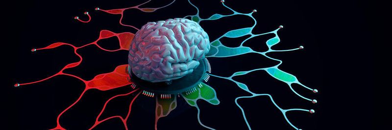 Ein von Forschenden der Universität Freiburg gegründetes Start-up soll im Auftrag der Cyberagentur ein Rahmenwerk für Cybersicherheit in Gehirn-Computer-Schnittstellenanwendungen erstellen