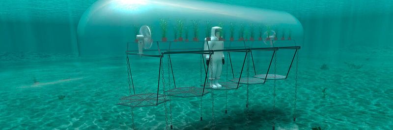 Mit Hilfe von „Siemens Xcelerator“ und eines digitalen Zwillings kann das Team von Nemo's Garden Konzepte testen, ohne dass physische Tests erforderlich sind. Das ermöglicht eine schnelle Design-Iteration.