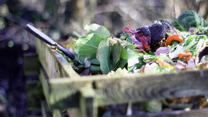 Aus 1.000 Kilogramm Küchen- und Gartenabfällen sollen mit der neuen Technologie von Krajete bis zu 1.000 kWh werden.