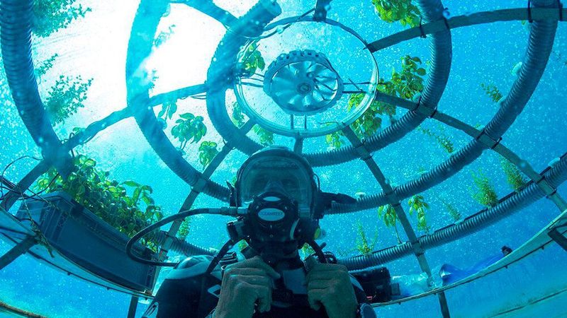 Digitale Zwillinge unterstützen auch beim nachhaltigen Unterwasseranbau von Nutzpflanzen, wie das Beispiel von Nemo's Garden zeigt. Im Einsatz: das Xcelerator-Portfolio von Siemens Digital Industries Software.
