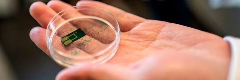 The technology envisioned in Smellodi has the potential to become a rapid, immediate, and non-invasive diagnostic tool.