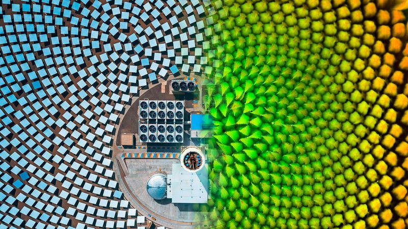 Virtuelle Welten eröffnen viele Möglichkeiten, um Nachhaltigkeit mit Innovationsgeist und wirtschaftlichem Erfolg zu vereinen.