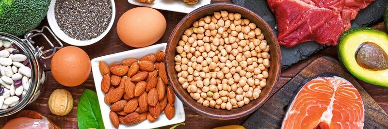 Diese Nahrungsmittel enthalten viel Protein und damit viele Aminosäuren – sowohl essenzielle als auch nicht-essenzielle.
