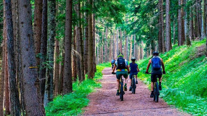 Wann das Selbstlenker-System in Serie gehen könnte, steht noch nicht fest.