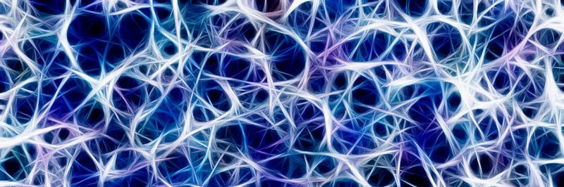 Eine Nevenzelle machte keinen Sinn; die Verteilung und das Zusammenspiel werden oft als Analogie zum Internet bemüht.