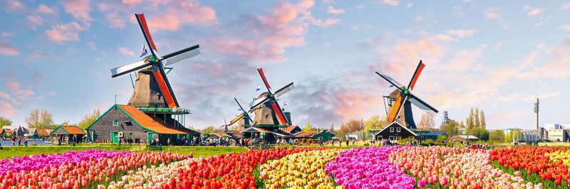 In den Niederlanden beschäftigt Bechtle mittlerweile 715 Mitarbeiter und ist auf einer Achse von Maastricht bis Amsterdam mit Filialen präsent.