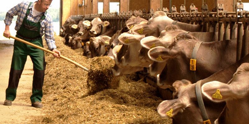 In Deutschland wirbt McDonalds mit seinen Landwirten. In Großbritannien investiert das Unternehmen einen Millionenbetrag in die nachhaltige Landwirtschaft und Viehhaltung. (Bild: McDonalds)