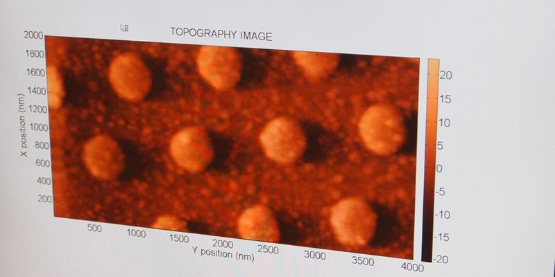 Erinnert ein wenig an die Leckerei Giotto. In Wirklichkeit handelt es sich um Teststrukturen mit Elektroden auf amorphem Kohlenstoff, die mit einem Rasterkraftmikroskop (AFM) sichtbar gemacht wurden.