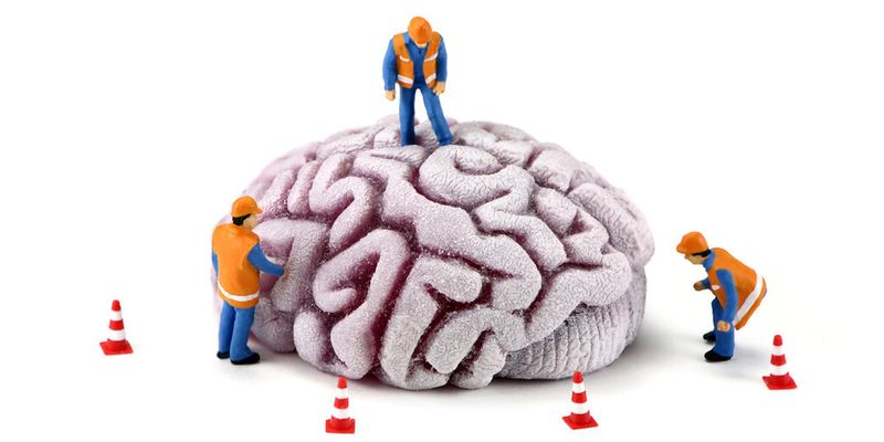 Sem.Knowledge ist branchenunabhängig konzipiert und kann flexibel in verschiedenen Bereichen eingesetzt werden, wie Softwareentwicklung, Service-Abteilungen, in der Projektleitung oder als Unternehmens-Wissens-Pool.