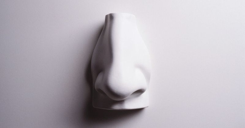 „Nase vorn!“ heißt die Cloud-Vertriebsaktion für Channel-Partner von Microsoft.