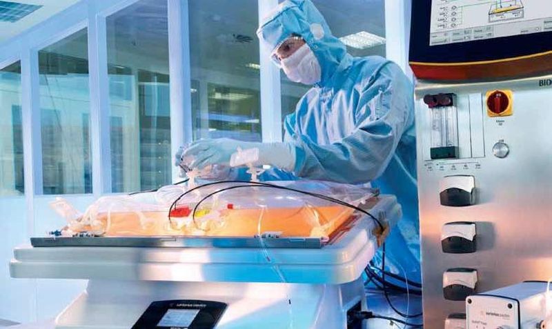 Cultivation of Sf9 cells in the single use bioreactor Biostat RM 20/50 optical system.
