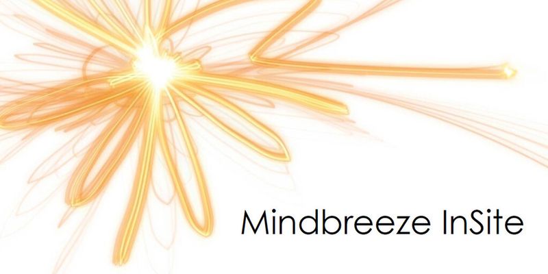 Mindbreeze InSite: Professionelle Website-Suche nach dem Baukastenprinzip.