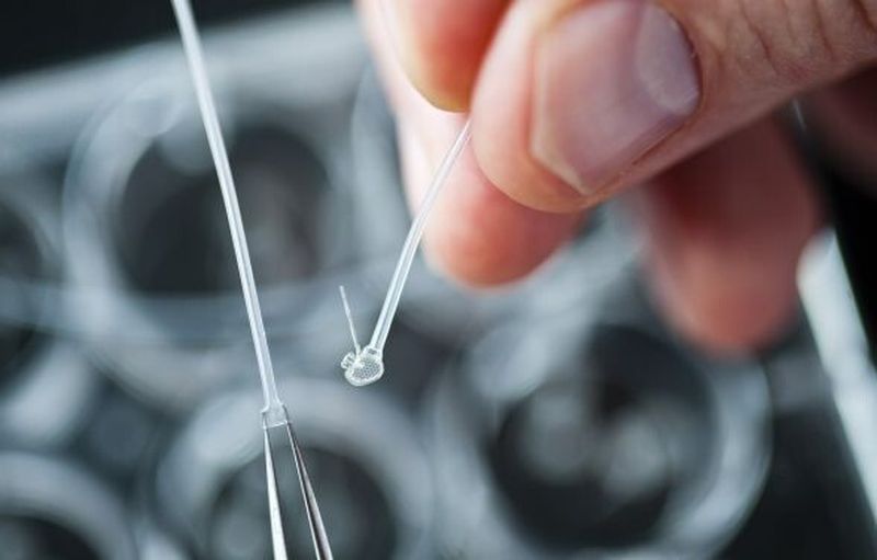 Ein ellipsenförmiges Implantat fungiert als Verbindungselement für verletztes oder durchtrenntes Rückenmark und könnte so Querschnittgelähmte heilen.