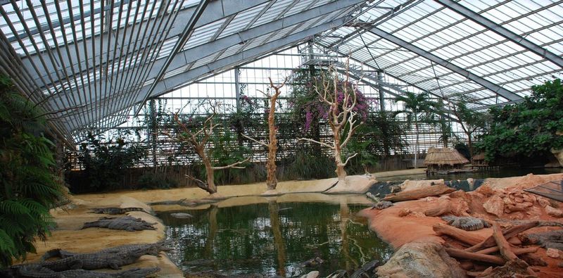Das Haupttreibhaus der Krokodilfarm.