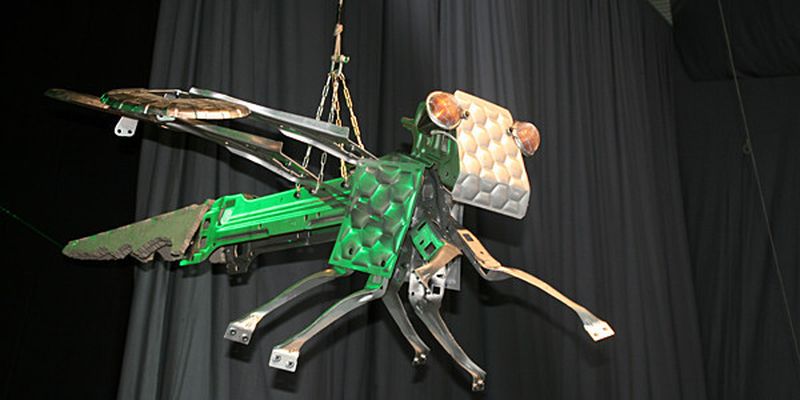 Die Libelle zeigt anschaulich, wie Leichtbau in der Natur funktionieren kann.