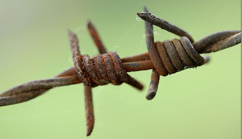 Stacheldraht ist auch ein Mittel, um Schutz für Rechenzentren aufzubauen.