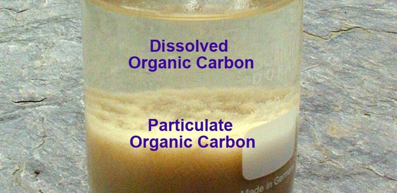 A sample with dissolved and particulate organic carbon