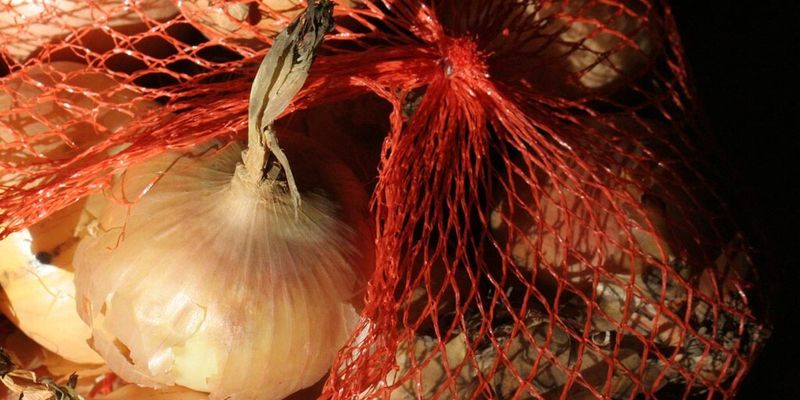 Zwiebelnetz: Onion Routing verpackt Datenpakete für verschiedene Zwischenstationen und verspricht mehr Anonymität.