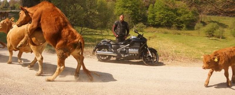 Seit Weibersbrunn 2014 steht fest: Das Motorrad hat defintitv eine erotisierende Wirkung.