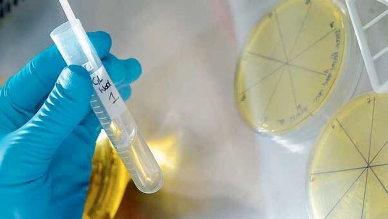 The advantage of using microorganisms to produce components needed for substances such as polyurethanes is that they rely on biomass such as corn starch or straw as base materials
