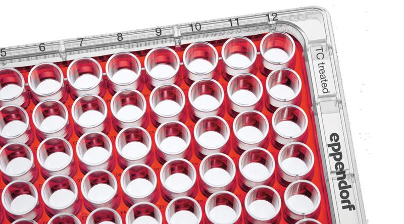 Abb. 1: ...B) Isolierung aller 96 Wells durch Befüllung des gesamten Zwischenraumes