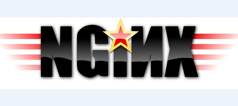 Der neue Stern am Webserver-Himmel: NGINX; hier ein alternatives Logo der NGINX-Gemeinde
