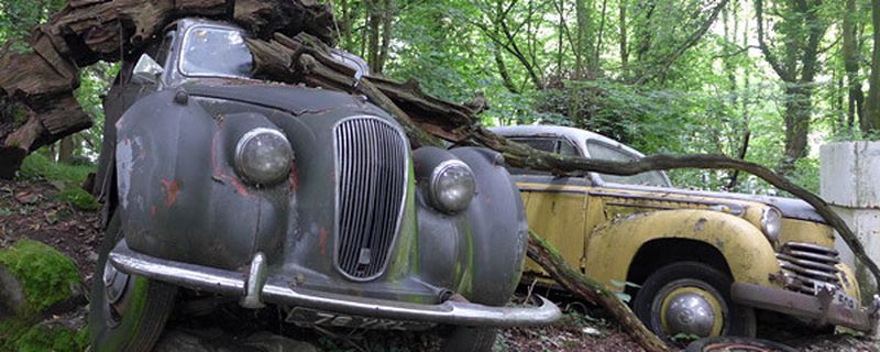 Oldtimerfreunden könnte ein besuch des Automobilfriedhofs im Neandertal zusetzen. Doch wer die Geschichte hinter dem Autofriedhof kennt, sieht die verwitterten Schönheiten vielleicht mit anderen Augen.