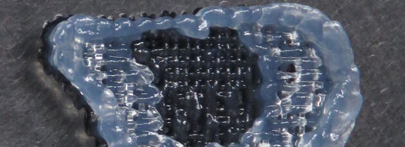 3-D-gedrucktes Ohr: Das Ohr mit lebendem Gewebe wurde auf der Basis von Spinnenseideproteinen mit einem 3-D-Drucker hergestellt. Die Biofabrikation mit Biotinte eröffnet für die regenerative Medizin völlig neue Möglichkeiten.