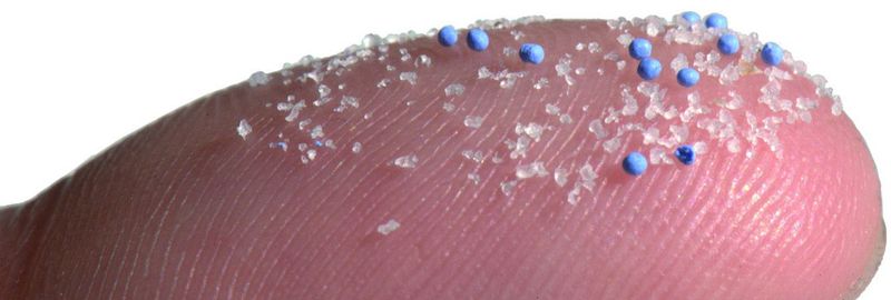 Winzige Plastikpartikel können der Umwelt schaden – und der Gesundheit von Tier und Mensch.