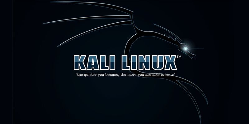 Kali Linux bietet etliche Tools, um Schwachstellen im Netzwerk ausfindig zu machen.