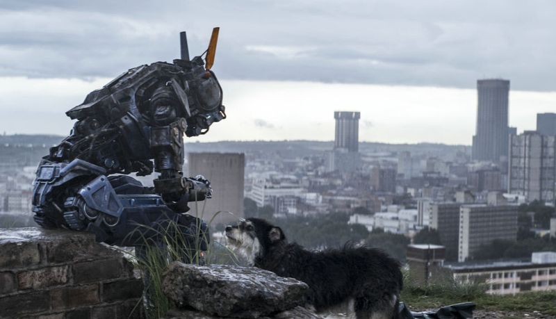 "Chappie", der Film von Sony Pictures mit Sigourney Weaver und Hugh Jackman, entstand ebenfalls unter Einsatz von GPUs und thematisiert selbstlernende Roboter.