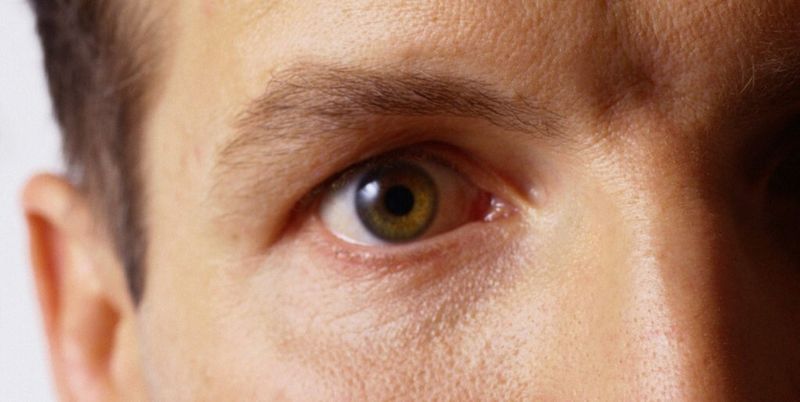 Die Biometrie kann den Passwort-Schutz nicht vollumfänglich ersetzen, aber durchaus erweitern.