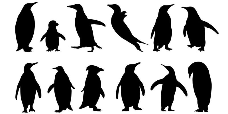 Auch in klassischen Windows-Netzen macht der eine oder andere Linux-Server durchaus Sinn!