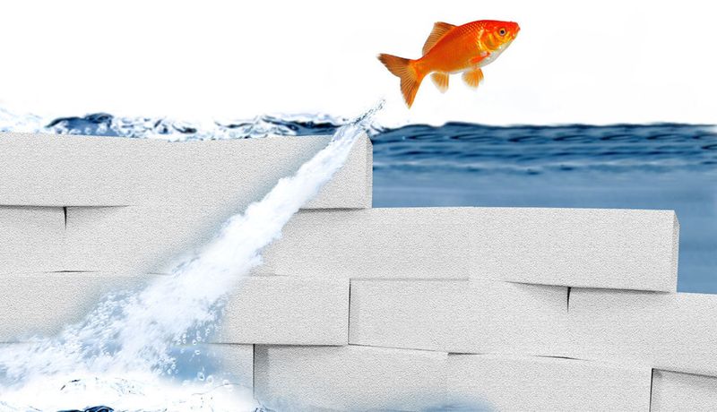 Mit diesen Tipps von Dynatrace können Unternehmen in Sachen Sharepoint-Performance besser sein als andere und Hürden überwinden.