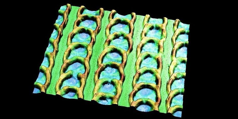 Von der Natur inspiriert und per Laser auf einen Stahlbolzen gefräst: 3-D-Aufnahme der schuppenähnlichen Struktur.