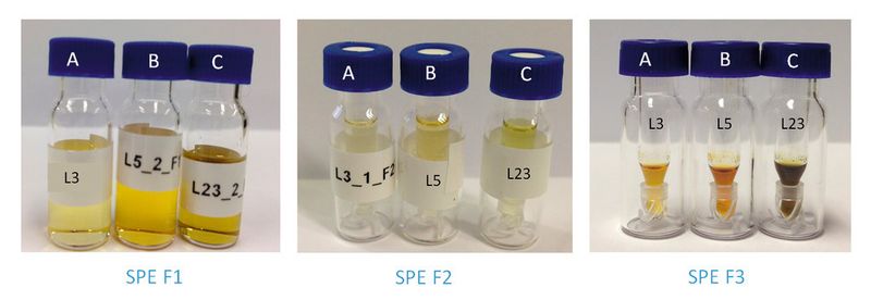 Abb1: Rekonstituierte Pflanzenextrakte nach SPE-Fraktionierung und MVAP-Konzentrierung (A, B und C entsprechend den drei Arten von Pflanzen).